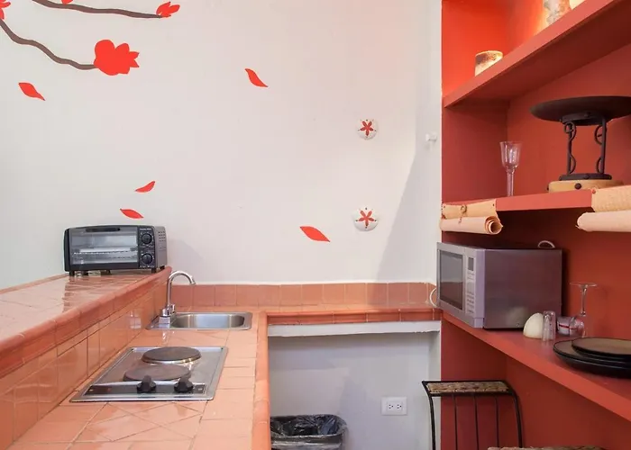 In The Heart Of Apartment Cabo San Lucas