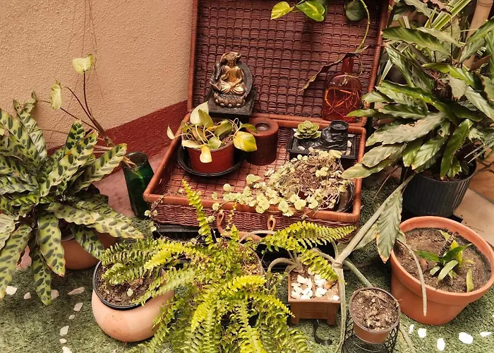 In The Heart Of Apartment